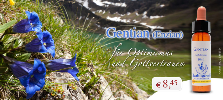 GENTIAN