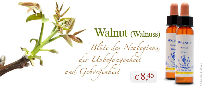 WALNUT