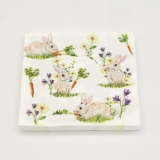 Bunnies with Carrots