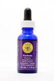 FES Fuchsia (Fuchsie)