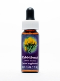 FES Rabbitbrush (Hasenbürste)