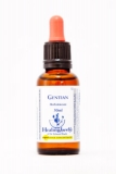 Healing Herbs 12 Gentian (Enzian)