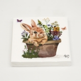 Colette Napkin