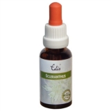 Edis Bio 28 Scleranthus alkoholfrei