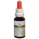 Edis Bio 33 Walnut alkoholfrei
