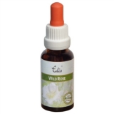 Edis Bio 37 Wild Rose alkoholfrei