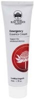 AUB Emergency Cream