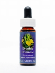 FES Evening Primrose (Nachtkerze)