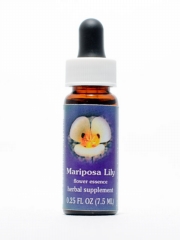 FES Mariposa Lily (Mormonentulpe)