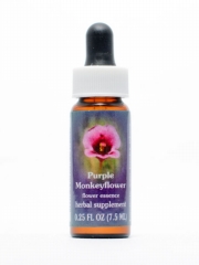 FES Purple Monkeyflower (Purpur-Gauklerblume)