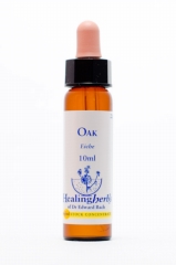 Healing Herbs 22 Oak (Eiche)