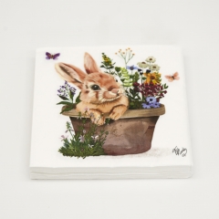 Colette Napkin