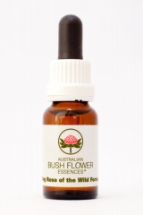 AUB Dog Rose of the Wild Forces