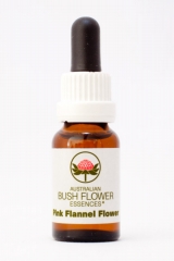 AUB Pink Flannel Flower