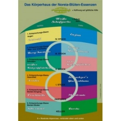 Plakat NOREIA Körperhaus