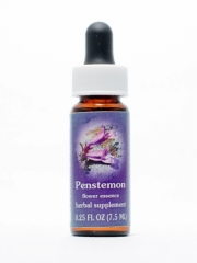 FES Penstemon (Bartfaden)
