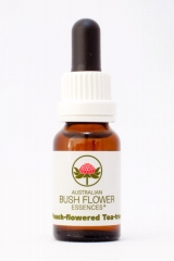 AUB Peach-Flowered-Tea-Tree